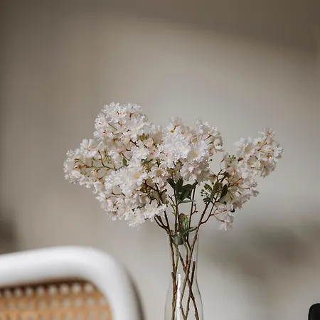 For Friends & Families