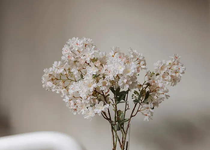 For Friends & Families