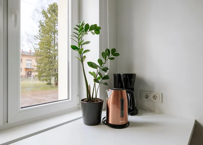 For Friends & Families * Tallinn